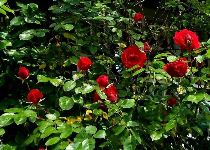 Arthouse * Bad Vilbel